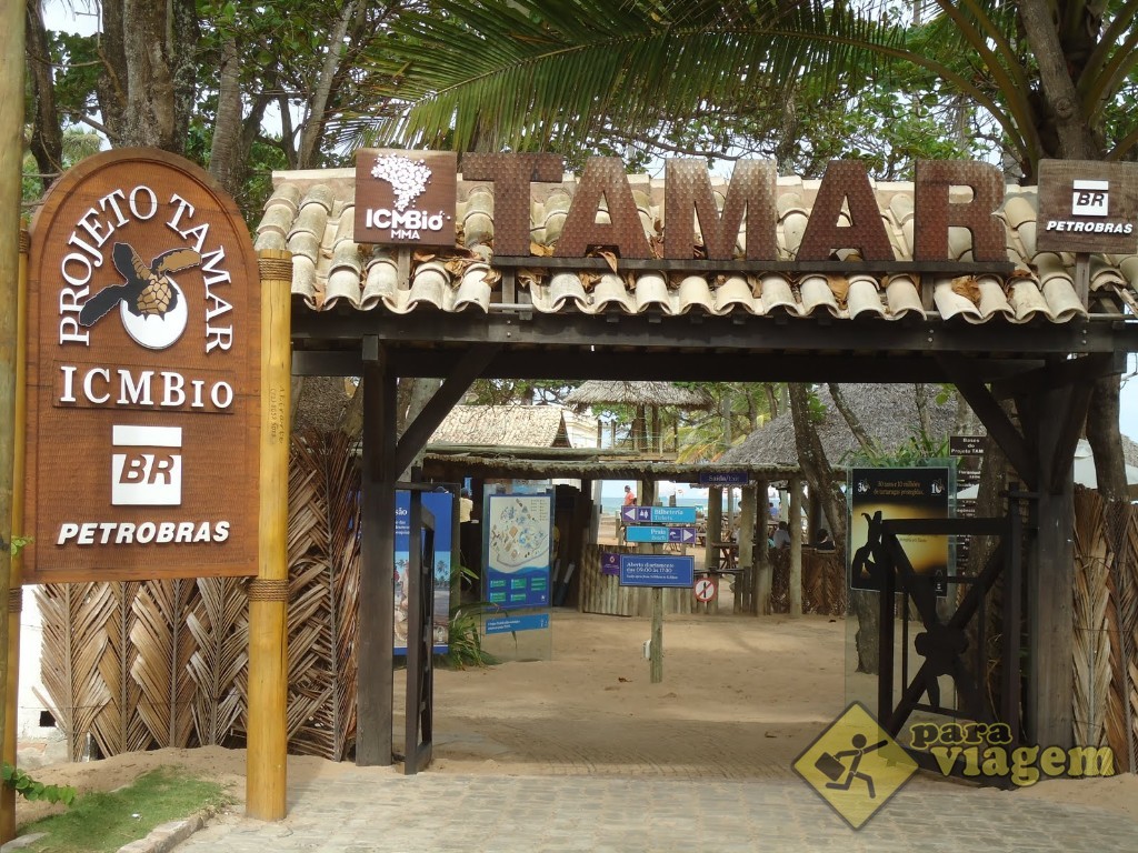 Projeto Tamar - Praia do Forte