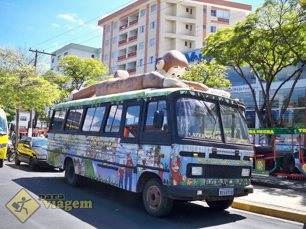 Ônibus macaquinho