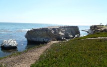 Pedras na Orla de Pismo Beach