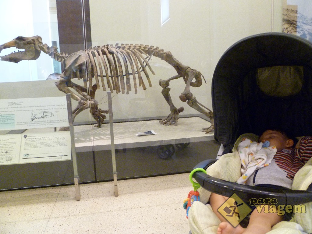Criança Dormindo no Museu em NY