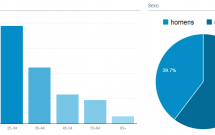 Gráficos de Idade e Sexo dos Visitantes