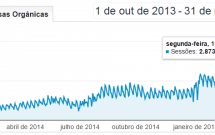 Relatório de Visitas Orgânicas nos Últimos 20 Meses
