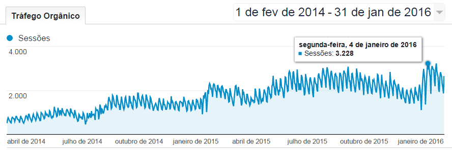 Relatório de Visitas Orgânicas nos Últimos 24 Meses