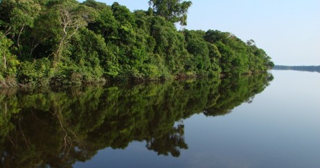 Detalhe do reflexo da vegetação nas águas do Rio