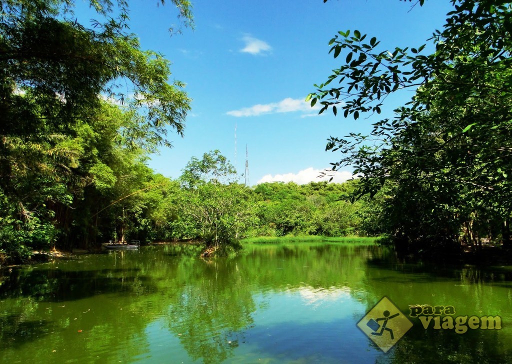 Bosque da Ciência