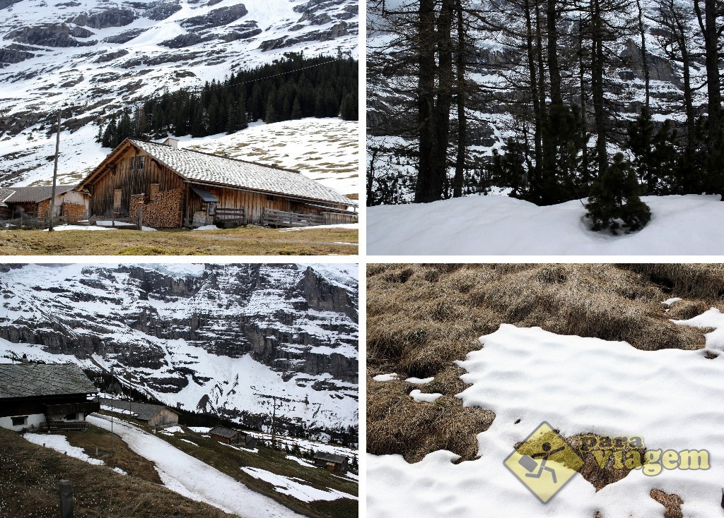 A linda paisagem nevada nas proximidades de Kleine Scheidegg