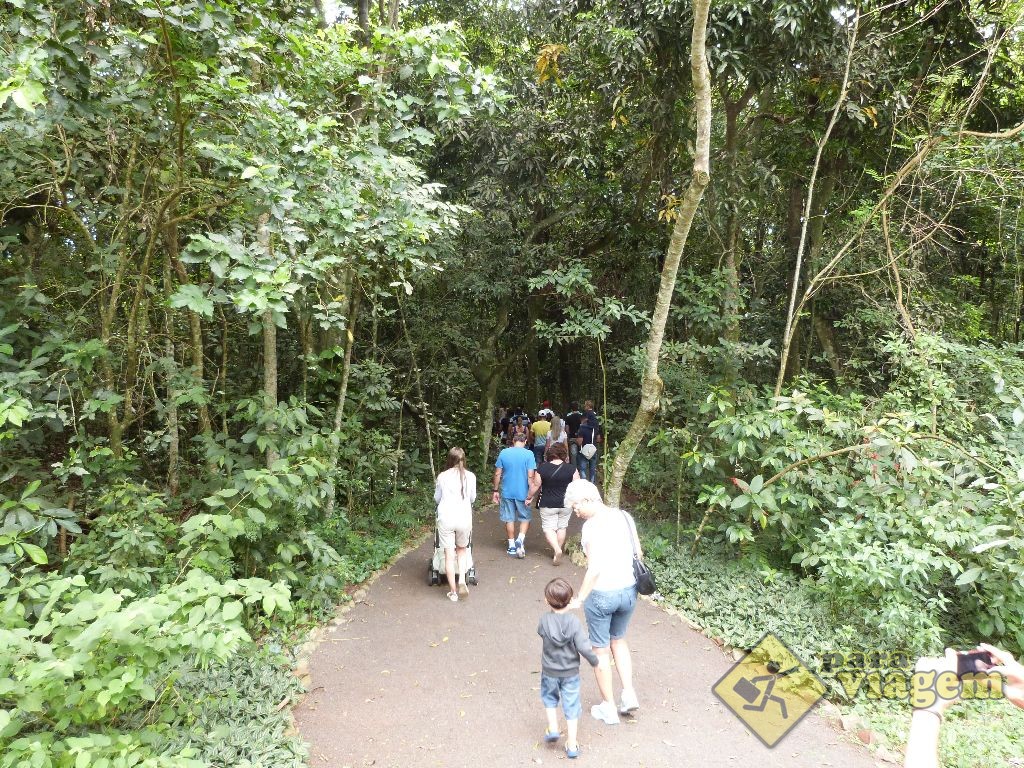 Trilha do Passeio Refugio Biológico na Usina de Itaipu