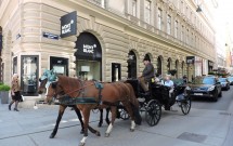Charrete em Viena