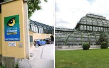 Tiergarten, o Zoo de Viena em Schönbrunn (esq) e o Palmenhaus (dir)