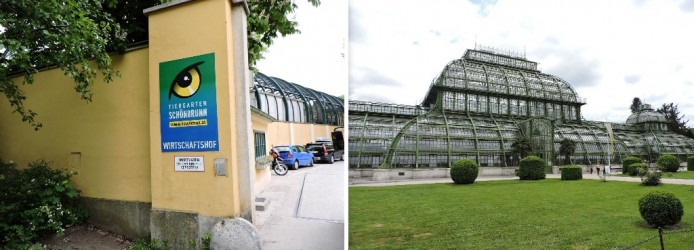 Tiergarten, o Zoo de Viena em Schönbrunn (esq) e o Palmenhaus (dir)