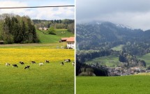 Belos campos entre Broc e Gruyères