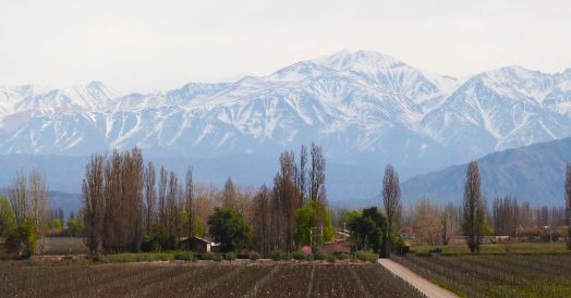 Vista da Vinícola Belasco de Baquedano - Lujan de Cuyo em Mendoza