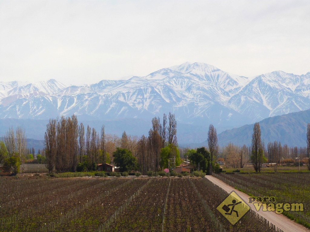 Vista da Vinícola Belasco de Baquedano - Lujan de Cuyo em Mendoza
