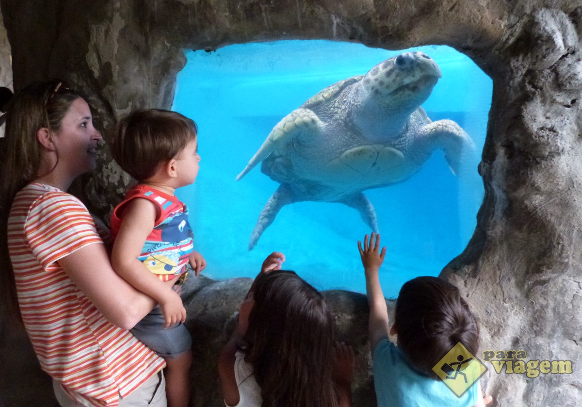 Crianças Vendo a Tartaruga Marinha do Oceanário