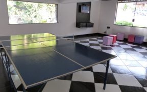 Ping Pong e Vídeo-Game
