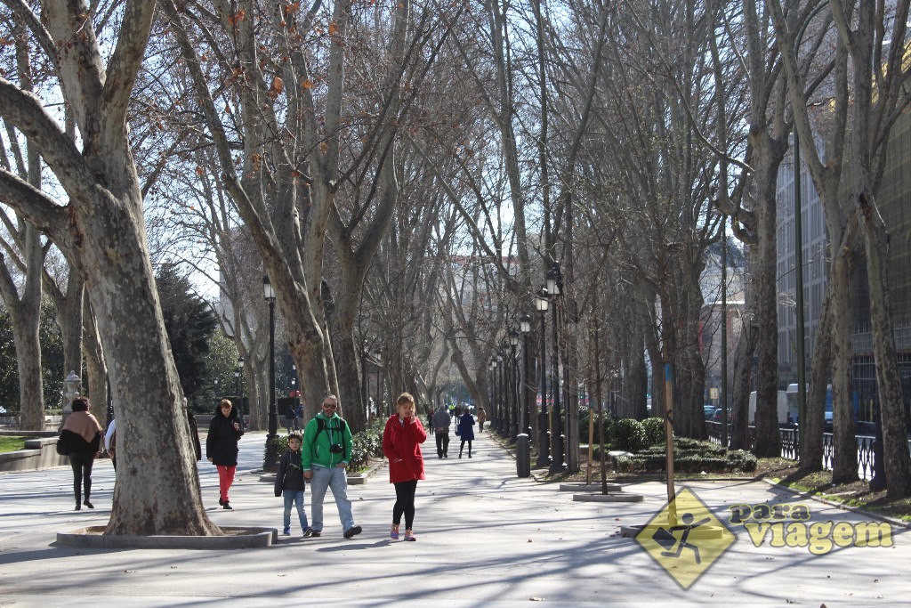 Paseo del Prado: ótima pra caminhar