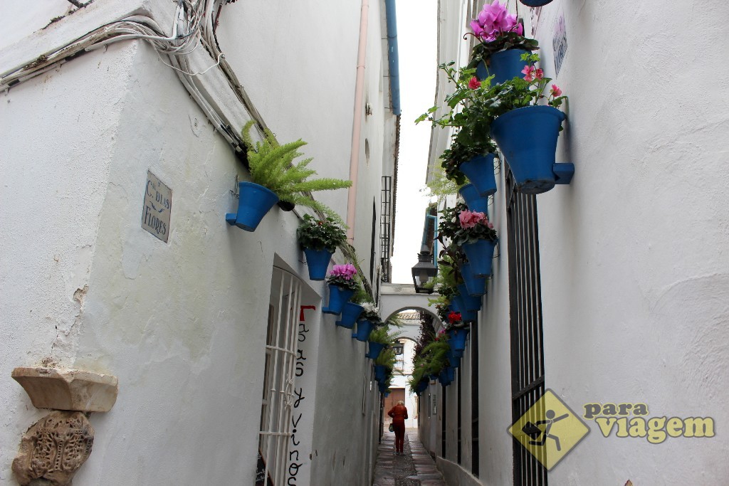 Calle de las Flores