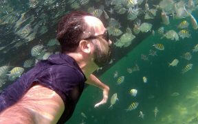 Nadando com Peixes na Lagoa Verde