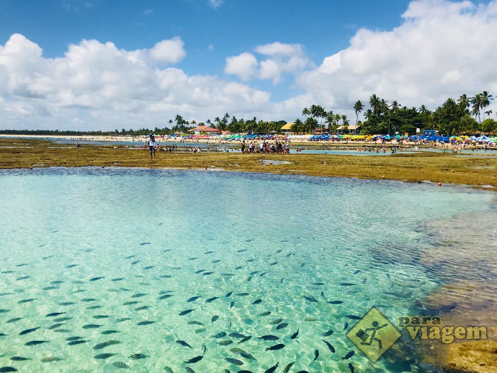 Piscinas Naturais de Porto de Galinhas