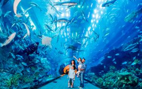 Dubai Aquarium