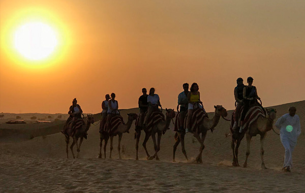 Sunset Camel Trek