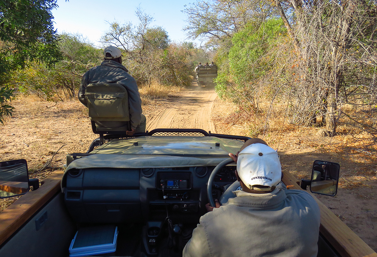 Dois Veículos do Kapama Durante o Safari