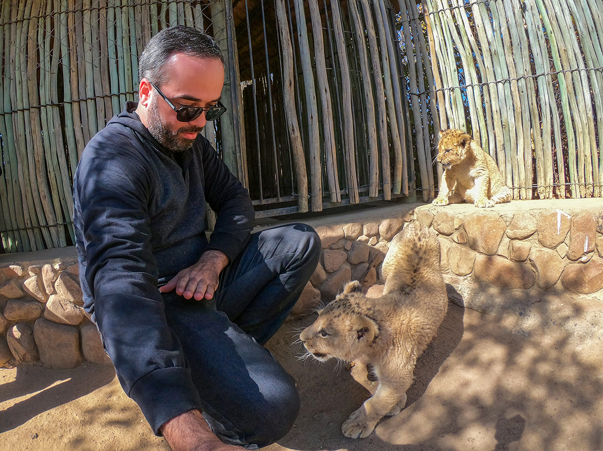 Bricando com Filhotes de Leões no Ukutula