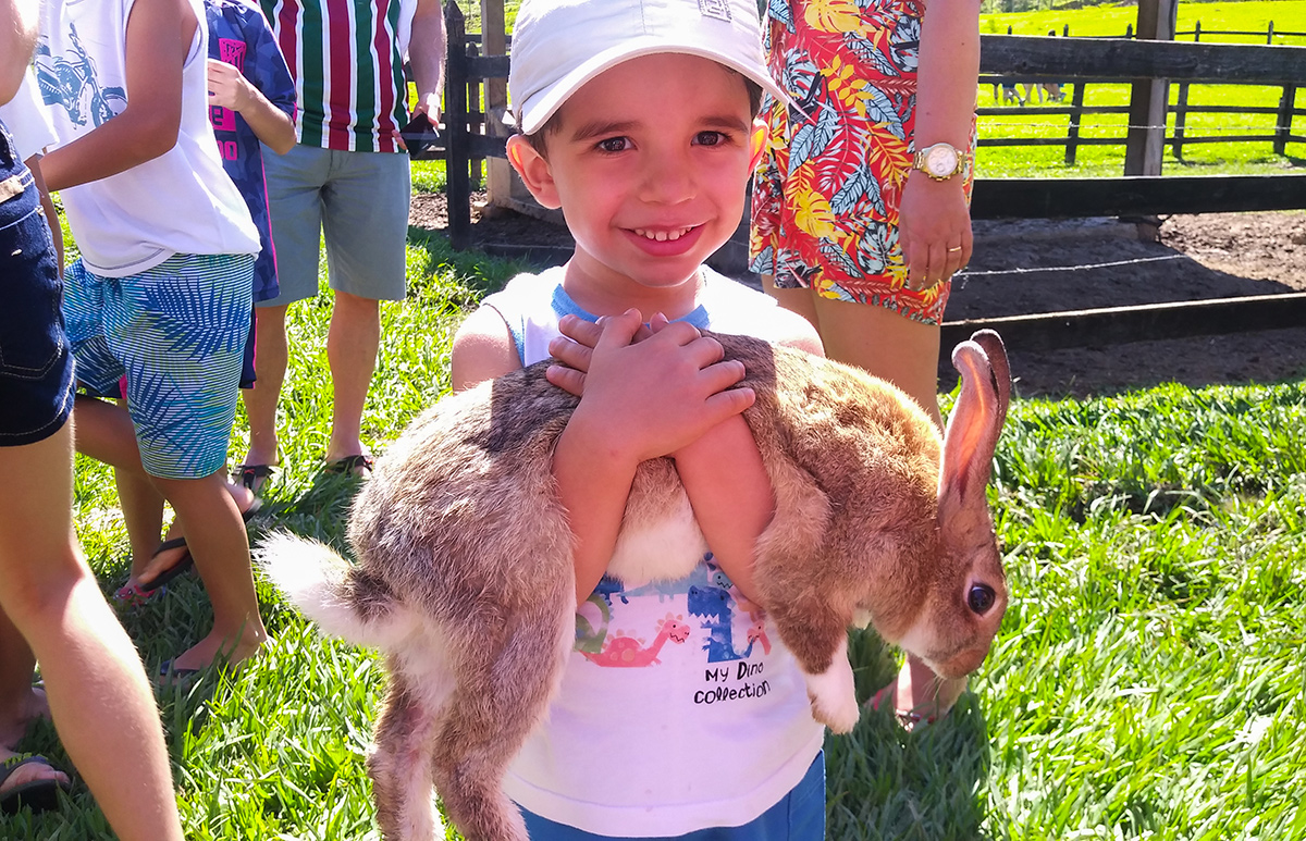 Crianças com um coelho na fazendinha