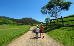 Meninos explorando a Fazenda Ribeirão