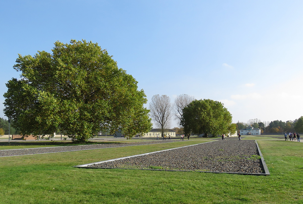 Belas árvores escondem o horror vivido em Sachsenhausen